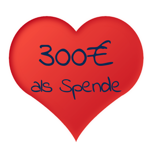 300€ vom Verkaufspreis gehen an hamromaya Nepal e.V.!