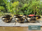 Preview: Schwarz-goldene Klangschalen aus Nepal mit verschiedenen Buddha-, Tara-, Shiva- und Ganesh-Motiven – Dein Lieblingsmotiv ist frei wählbar.