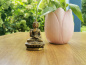 Preview: Kleiner Beschützer Buddha aus Messing | matt | ca.8cm