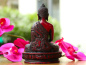 Preview: Meditierender Buddha aus Resin mit Dhyana Mudra