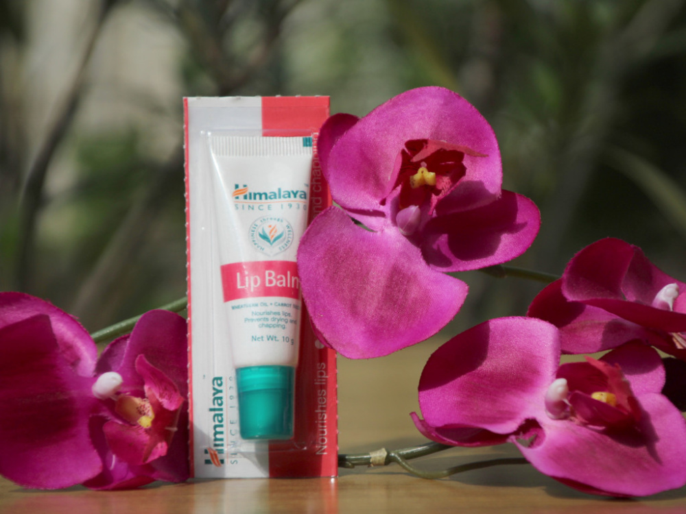 Ayurvedischer Lippenbalsam | 10g, Himalaya™