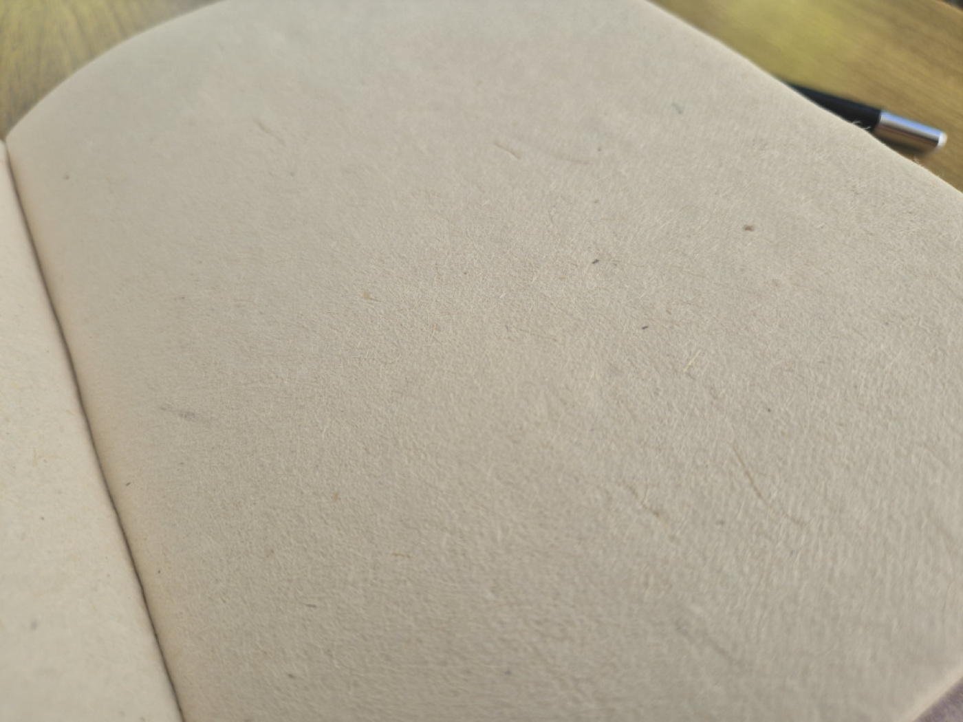 Blanko Innenseiten aus traditionellem nepalesischem Lokta-Papier
