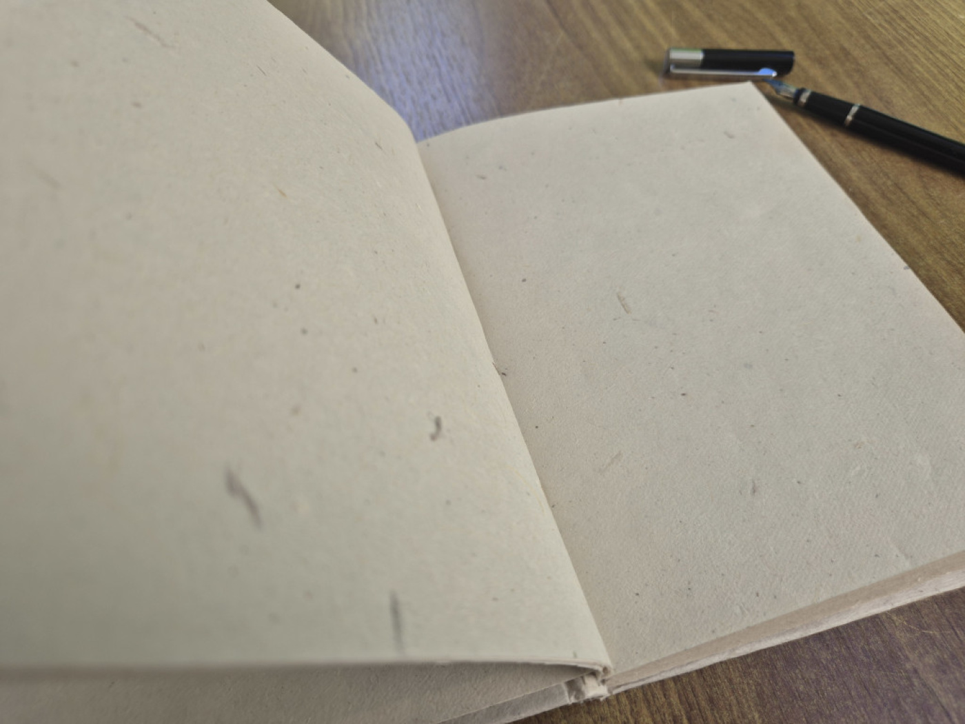 Blanko Innenseiten aus traditionellem nepalesischem Lokta-Papier