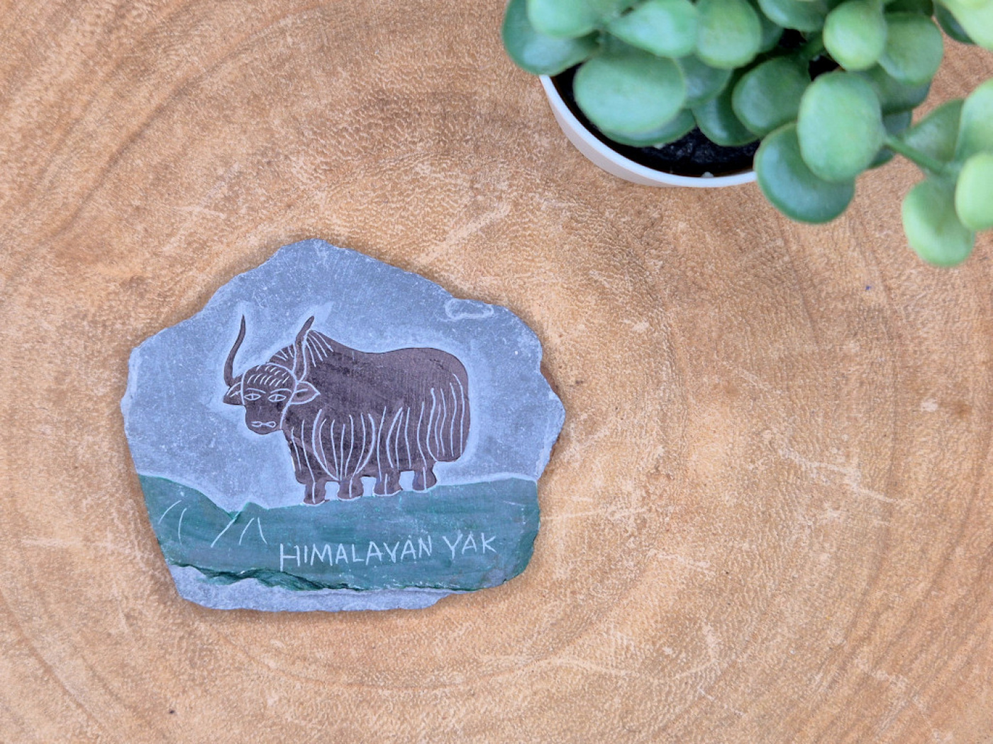 Handbemalter Schiefer-Magnet mit Himalaya-Yak aus Nepal